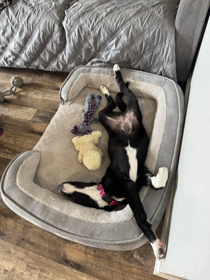 Winnie thumbnail 3