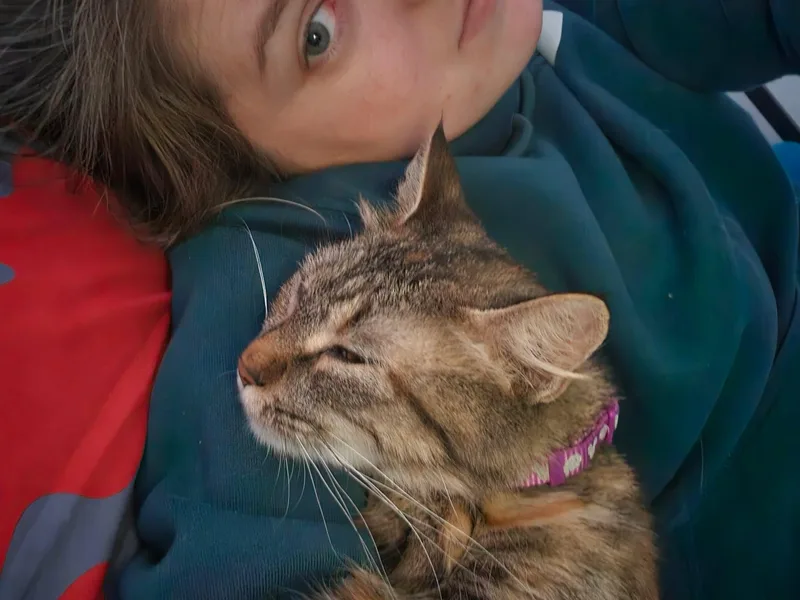 Jayden  Gorgeous Torbie thumbnail 6