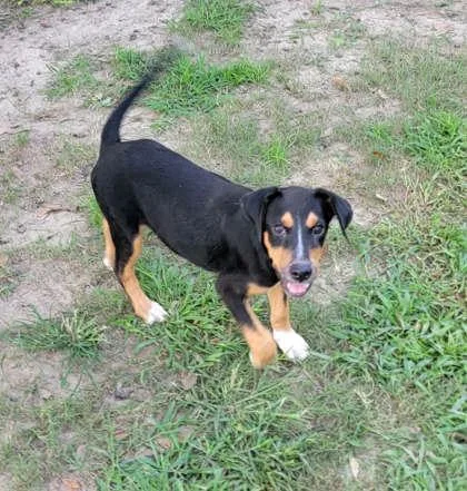 Zeus