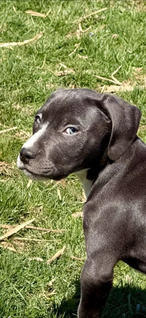 Deadpool thumbnail 2