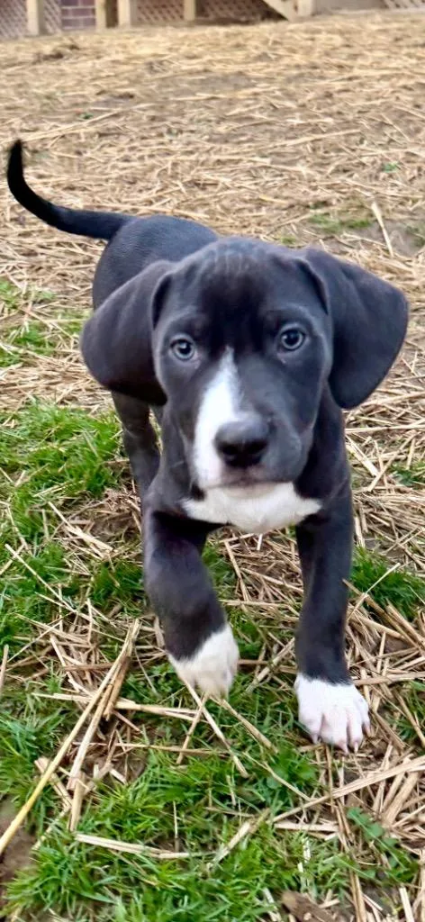 Deadpool thumbnail 4