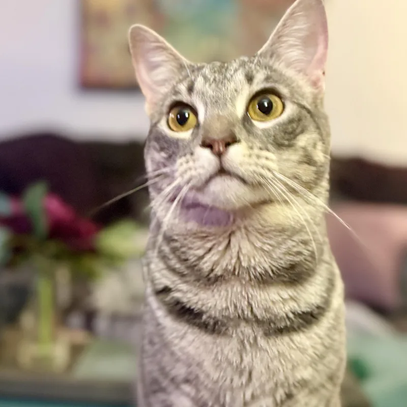 Stevie & Nicks thumbnail 2