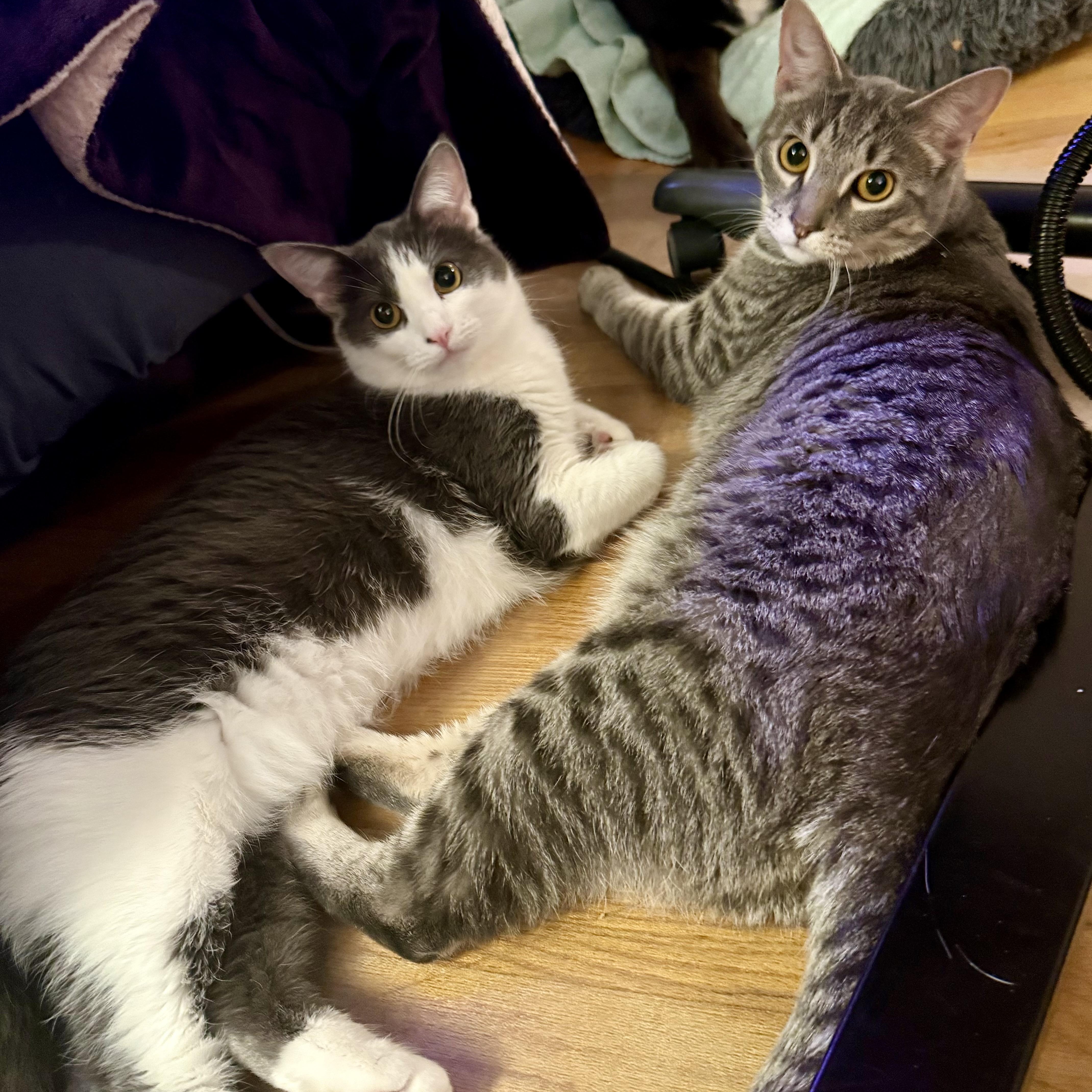 Stevie & Nicks thumbnail 3