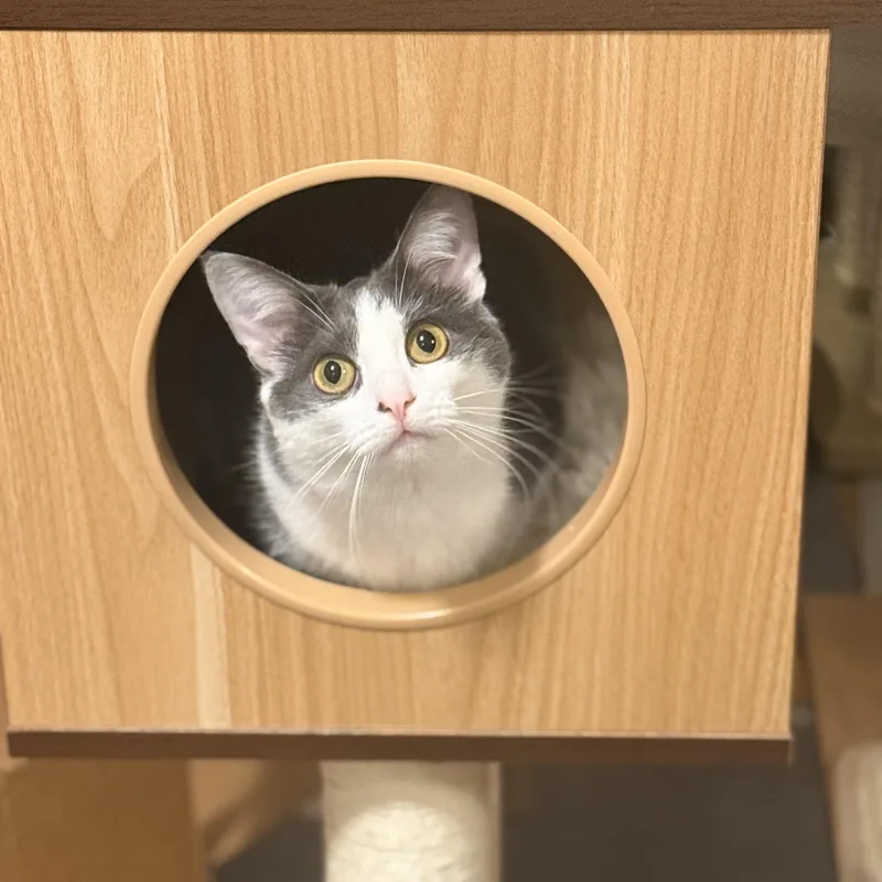 Stevie & Nicks thumbnail 4