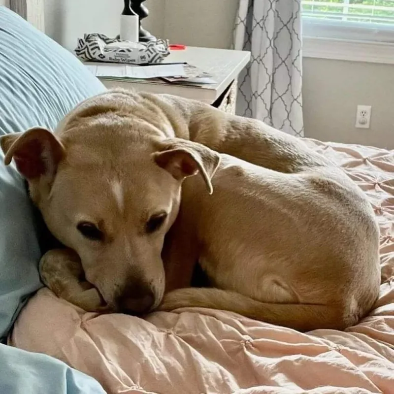Sadie thumbnail 3