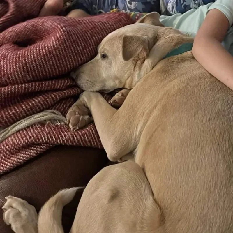 Sadie thumbnail 4