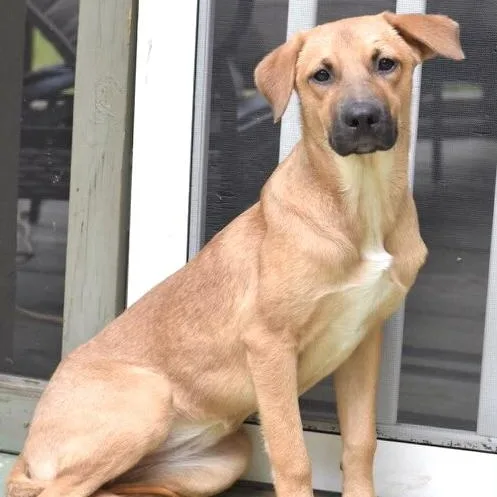 Mika thumbnail 5