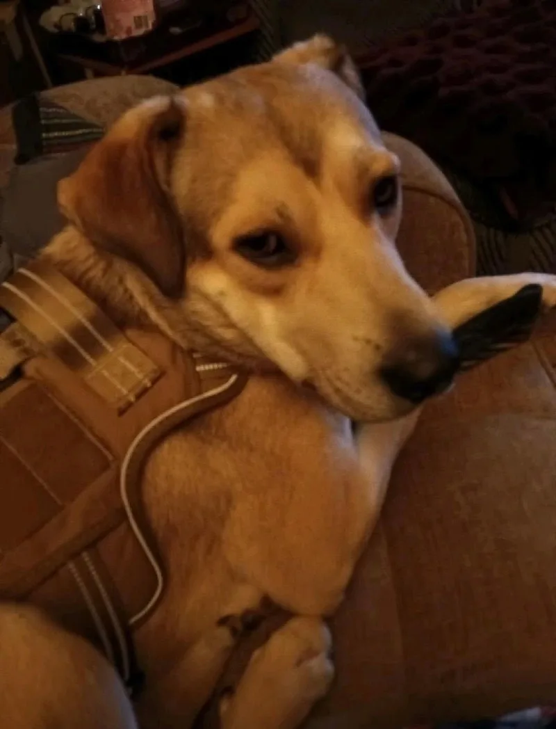 Tucker thumbnail 2