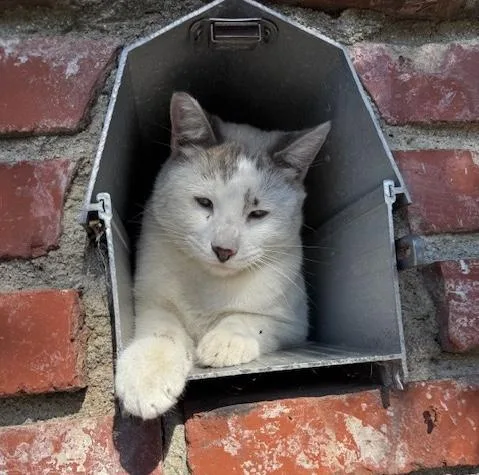 Sushi & Taffy thumbnail 2