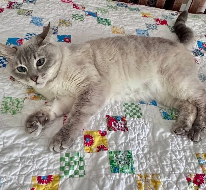 Nala