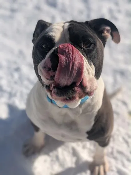 Professor Cleo thumbnail 2