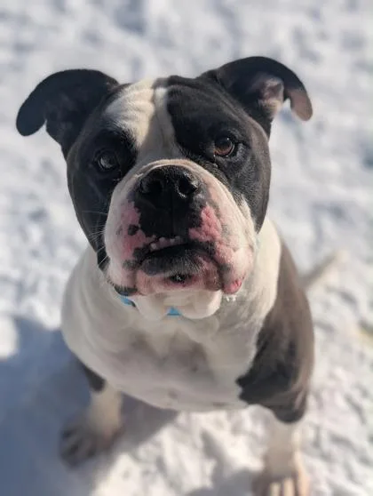 Professor Cleo thumbnail 3