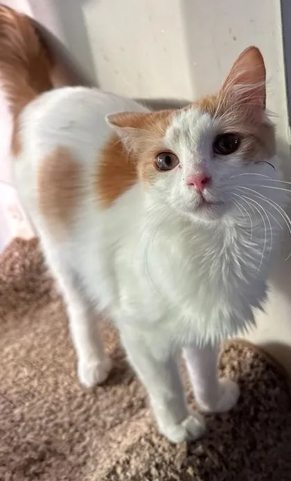 Dr. Ellie thumbnail 3