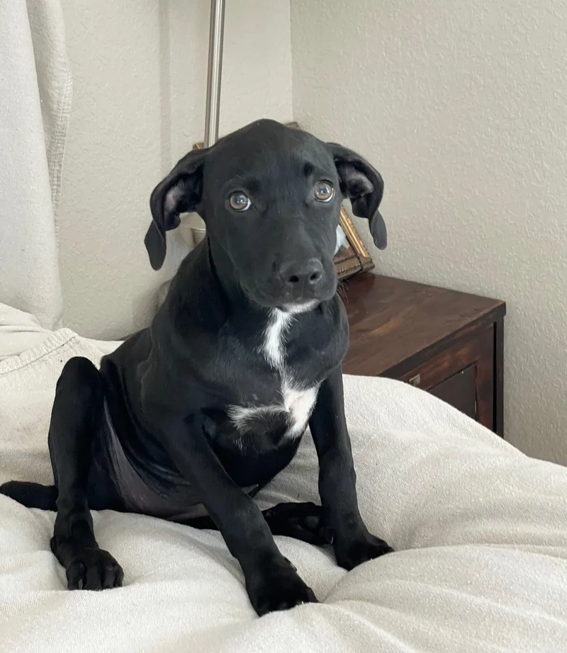 Tender Sweet Elin thumbnail 2