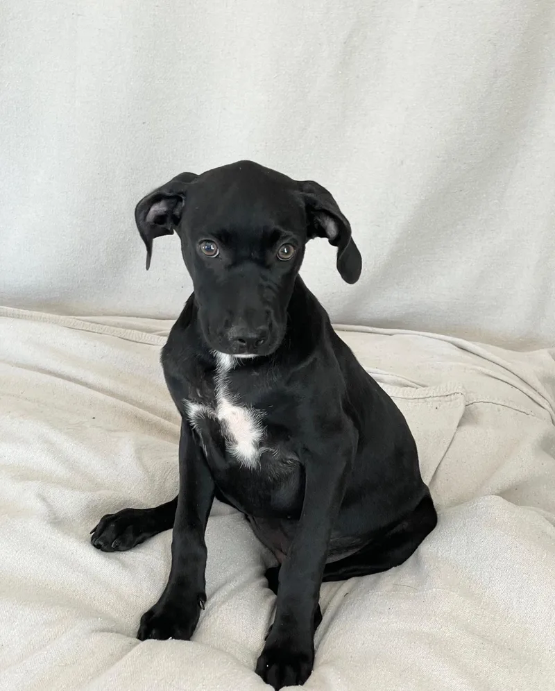 Tender Sweet Elin thumbnail 4