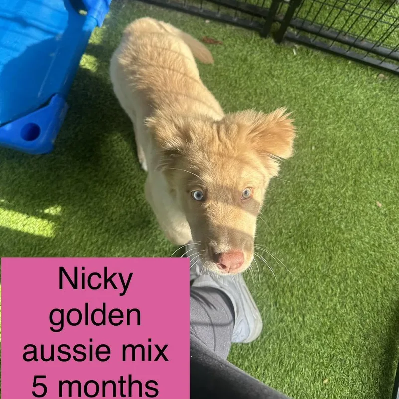 Nicki thumbnail 6