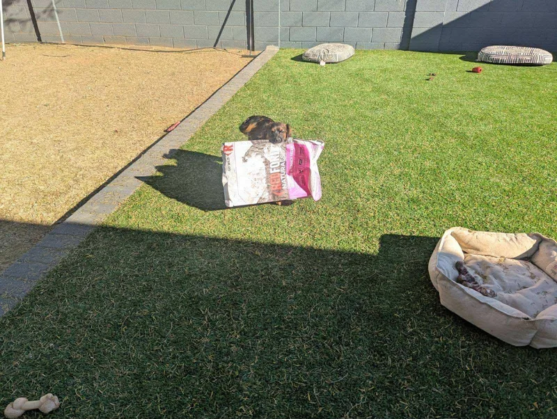 Jack Sparrow thumbnail 3