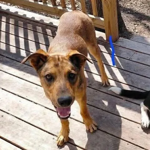 Rusty