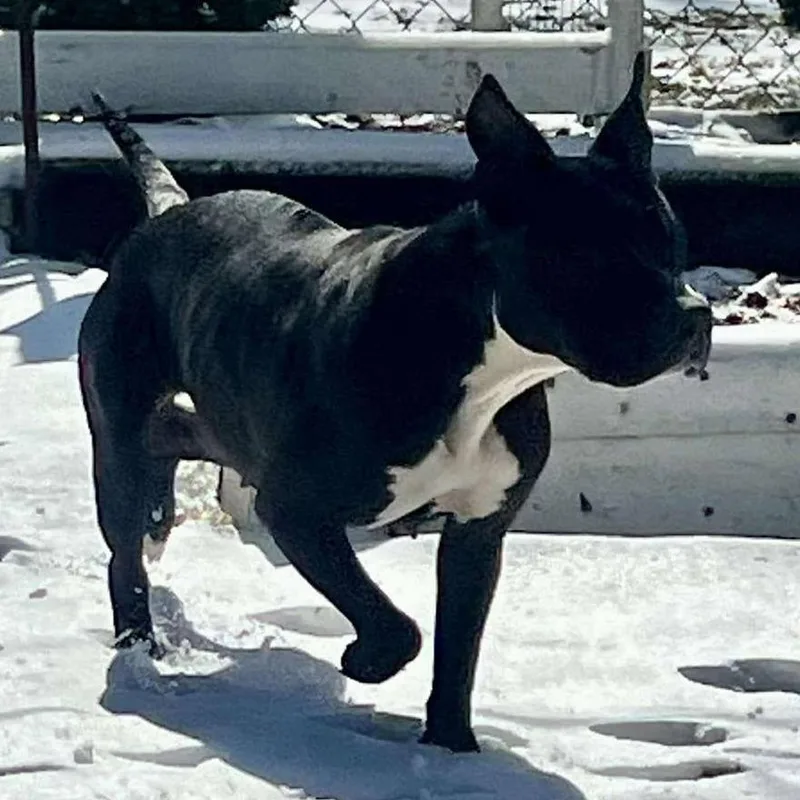 Sister Girl thumbnail 2