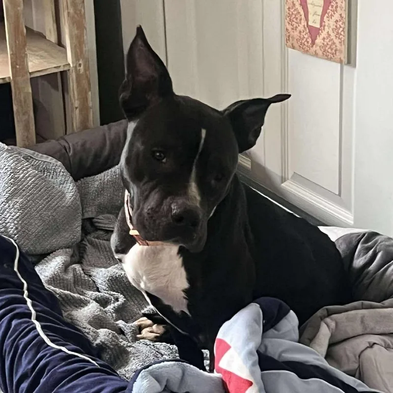 Sister Girl thumbnail 3