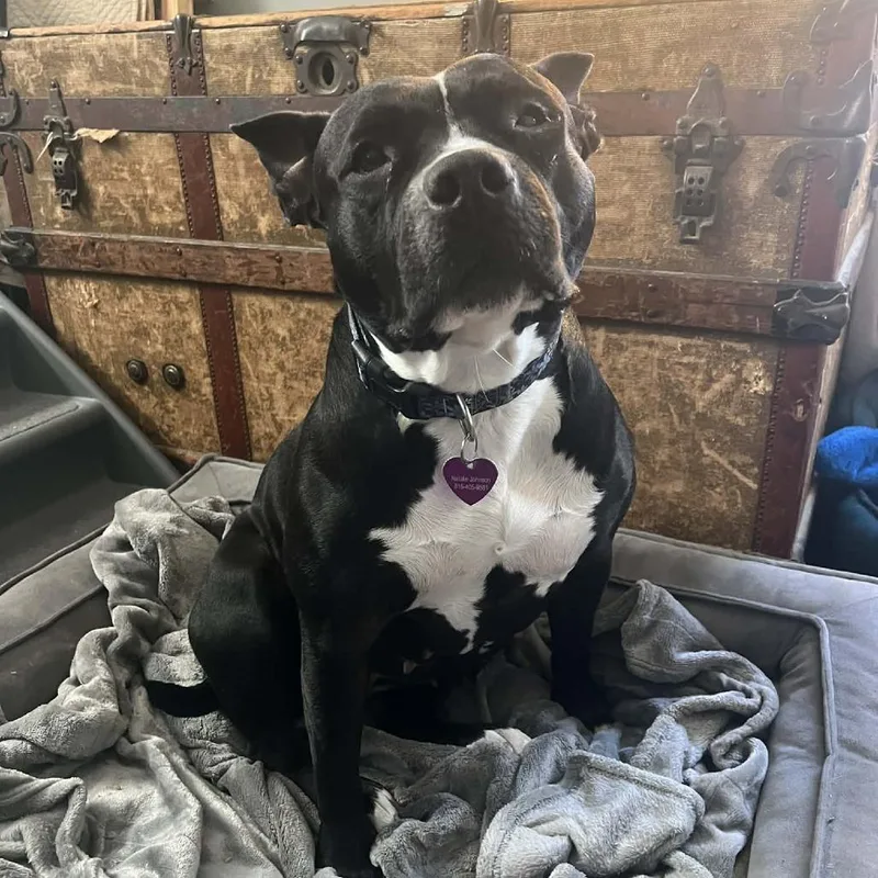 Sister Girl thumbnail 4