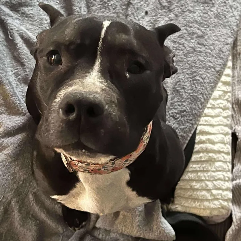 Sister Girl thumbnail 5