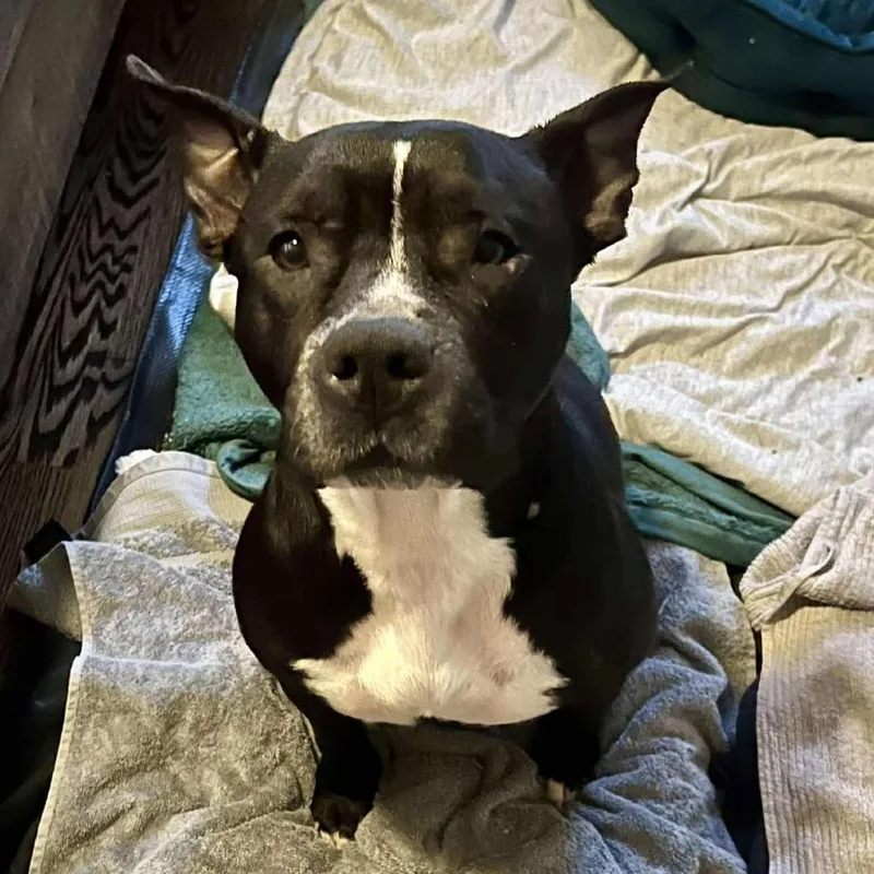 Sister Girl thumbnail 6