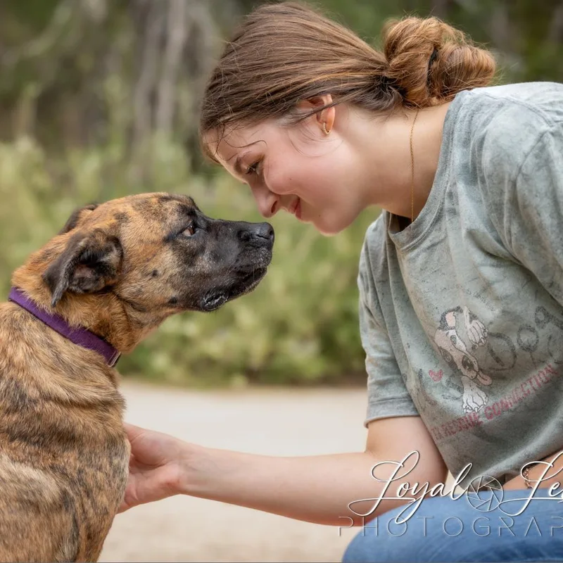 Pacino Vm thumbnail 3