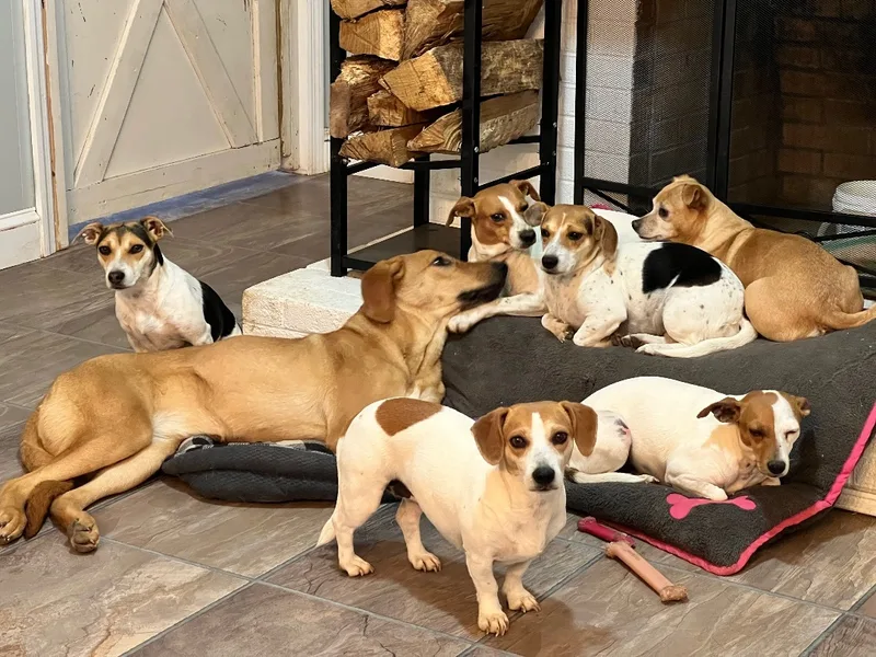 Betty White thumbnail 2