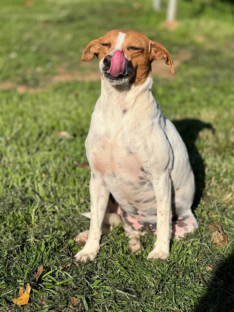 Betty White thumbnail 4