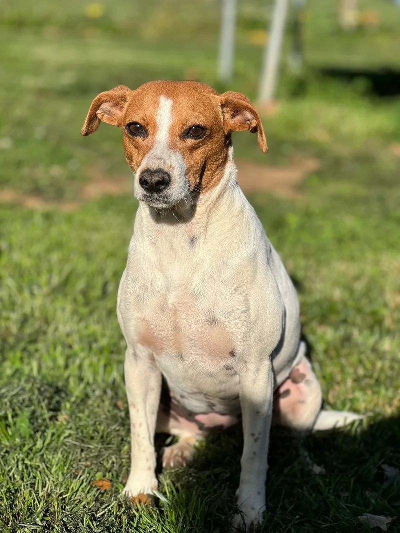 Betty White thumbnail 6