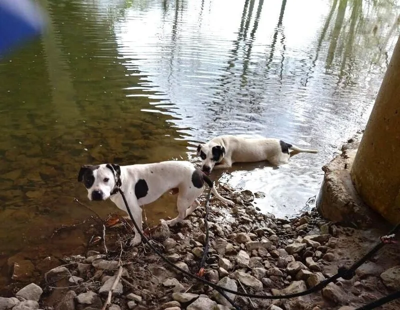 Soda Pop thumbnail 6