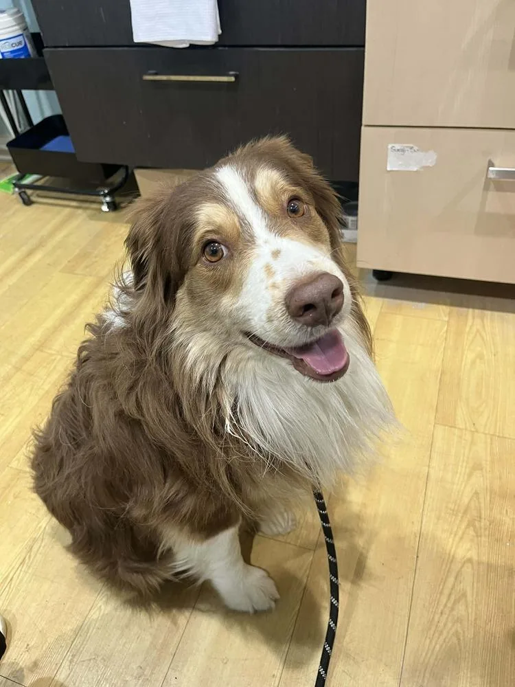 Lover Boy thumbnail 5