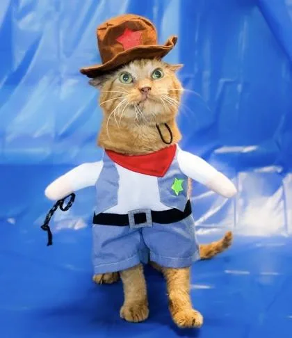 William Wallace thumbnail 3