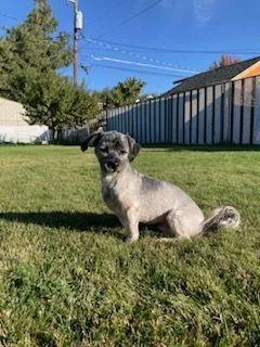 Wonkafinn thumbnail 6