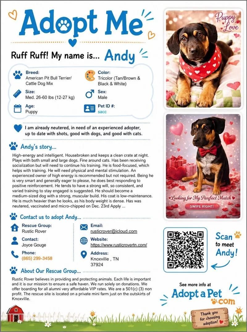 Pup Pup Andy
