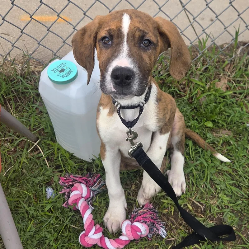 Busteraffectionate  Smart  thumbnail 2