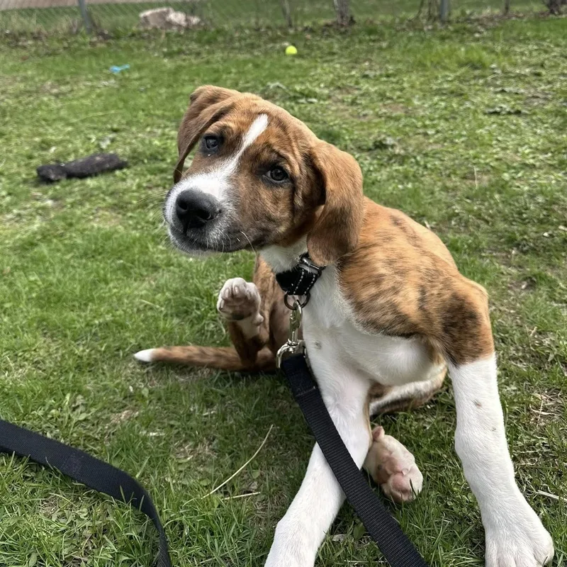 Busteraffectionate  Smart  thumbnail 3