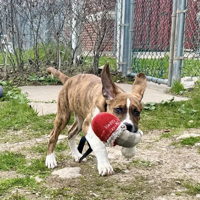 Busteraffectionate  Smart  thumbnail 4