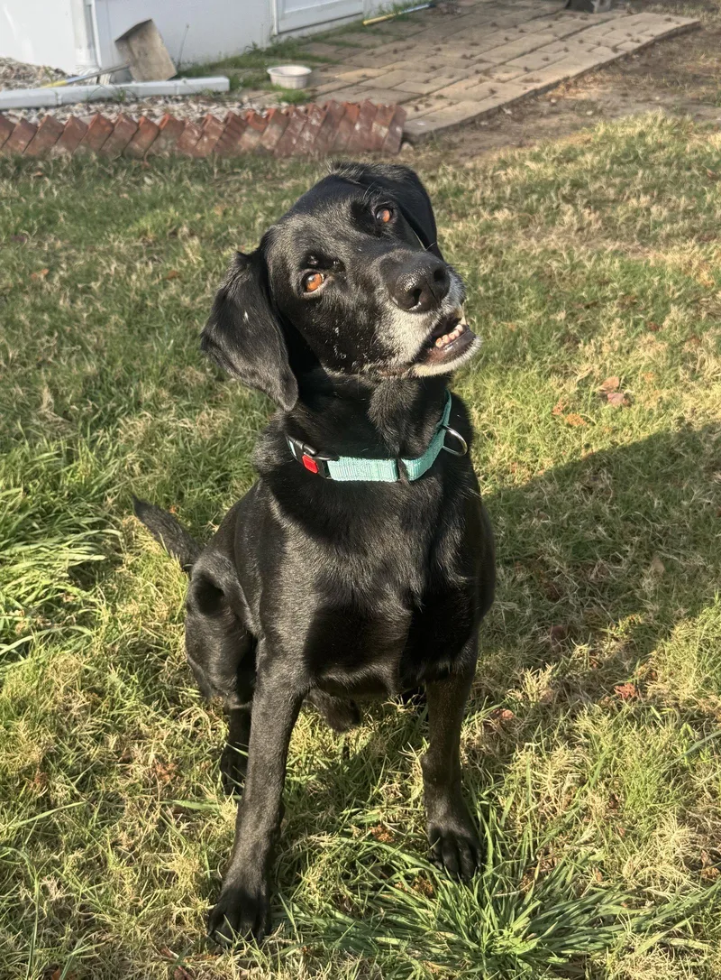 King Arthur thumbnail 2