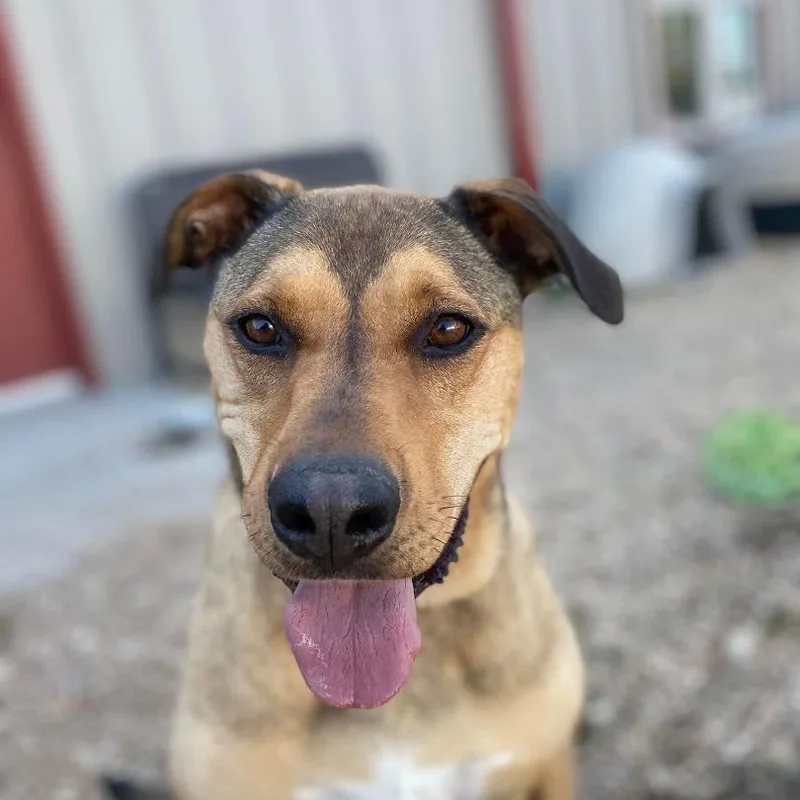 Valencia thumbnail 2