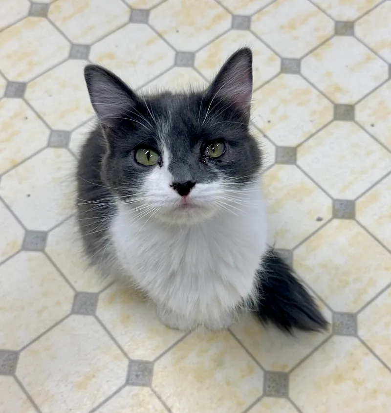 Bridgetshy thumbnail 2