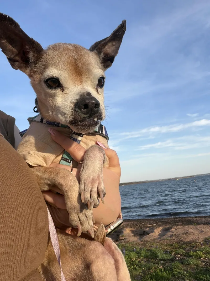 Petey thumbnail 4