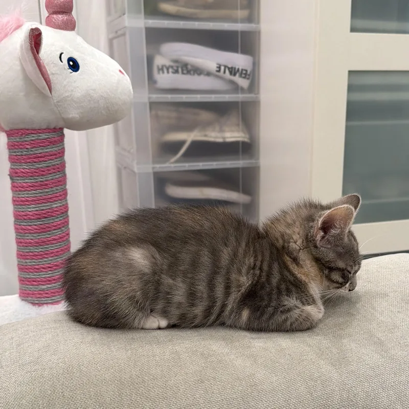 Maria Montessori thumbnail 2