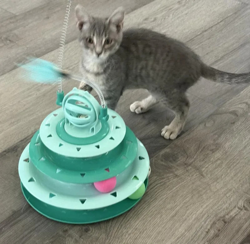 Sterling Katt thumbnail 2