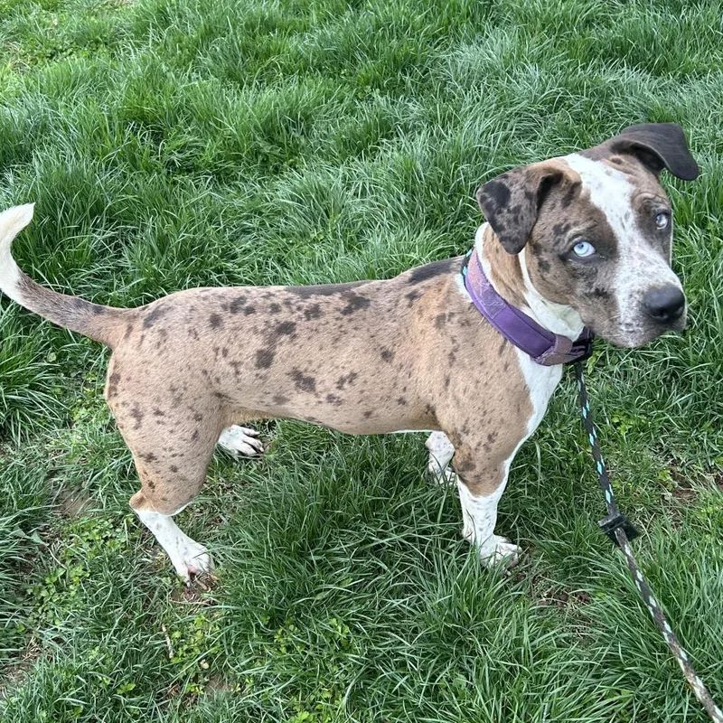 Julia Gulia thumbnail 2