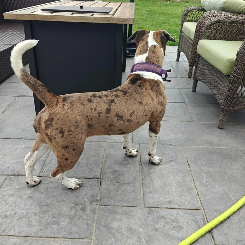 Julia Gulia thumbnail 5