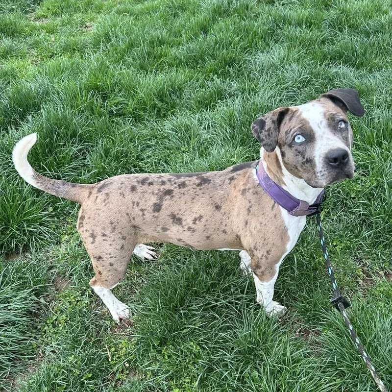 Julia Gulia thumbnail 6