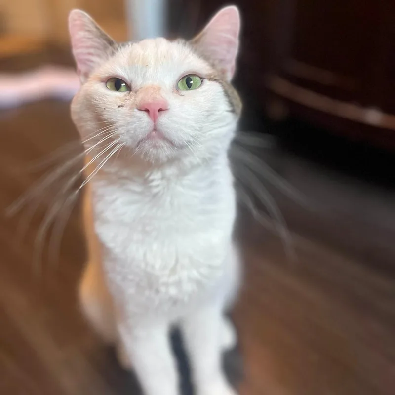 Whitey thumbnail 3