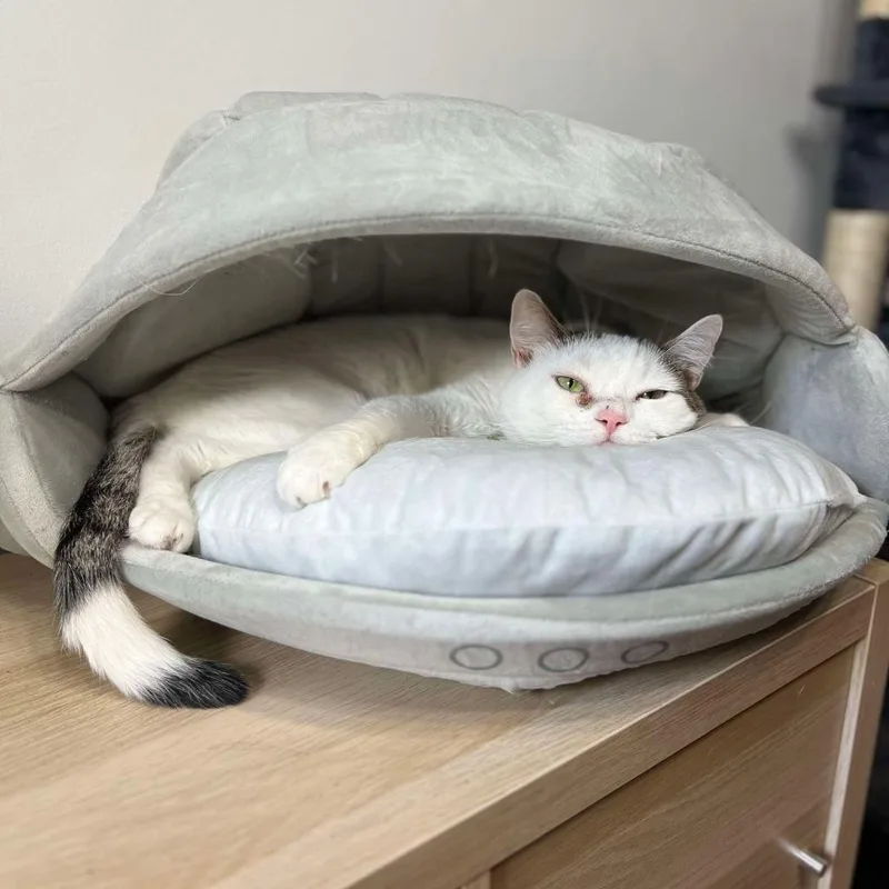 Whitey thumbnail 4